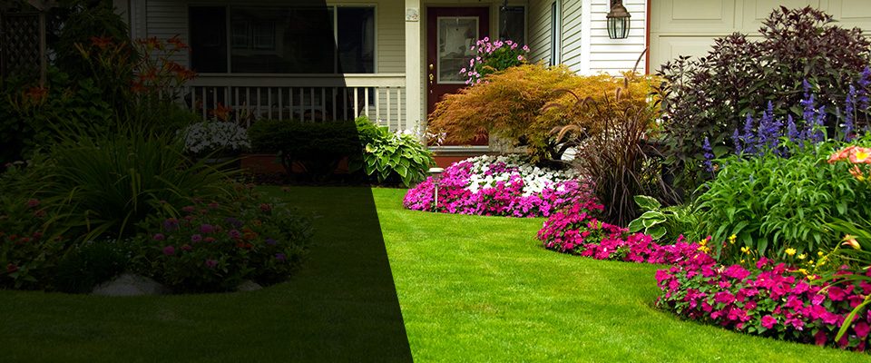 Bolivar Landscapers