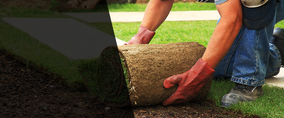 Bolivar Landscapers